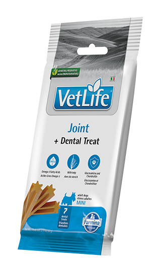 dental treat Joint mini